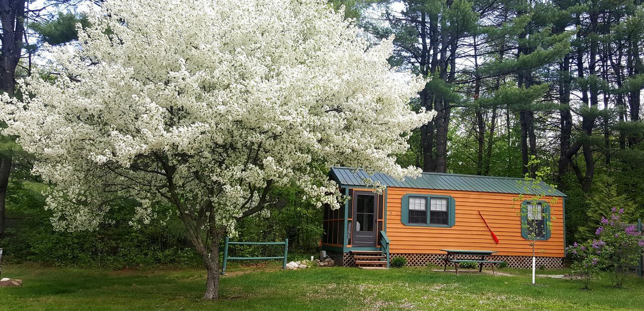 Silver Lake Park Campground & Cabins Hotel Belmont Exterior photo